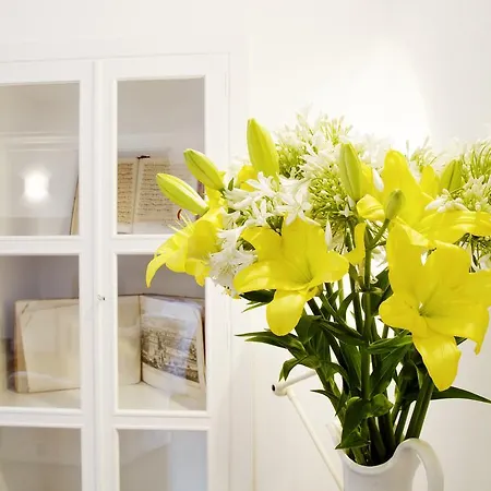 Guest house La Madonetta - Dimora D'epoca - Levanto