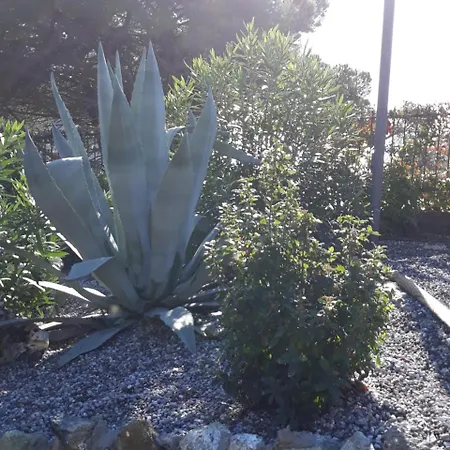 La Madonetta - Dimora D'epoca - Levanto