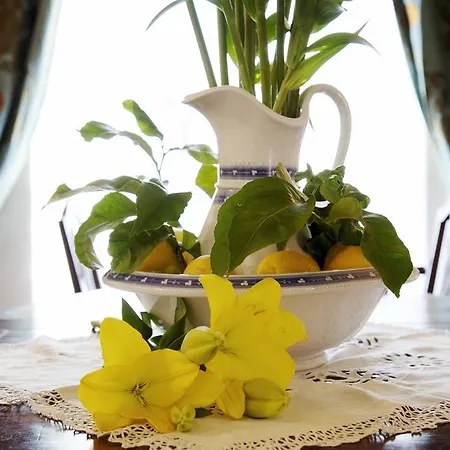 بيت ضيافة La Madonetta - Dimora D'epoca - 4*