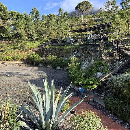 La Madonetta - Dimora D'epoca - 4*