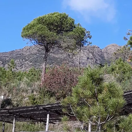 La Madonetta - Dimora D'epoca - Levanto