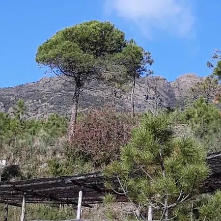 La Madonetta - Dimora D'epoca - * Levanto
