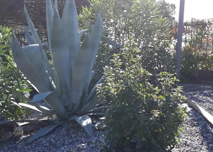 La Madonetta - Dimora D'epoca - Levanto